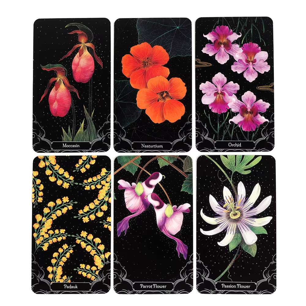 A Little Rain Botanical Oracle - Party Games App recensione e prezzo